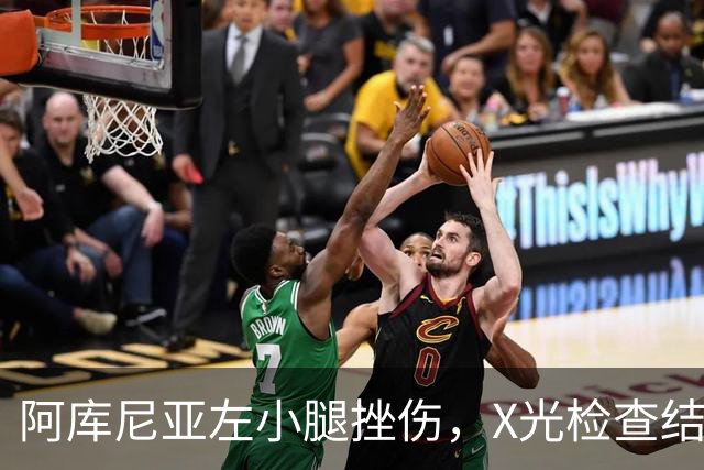 阿库尼亚左小腿挫伤，X光检查结果为阴性